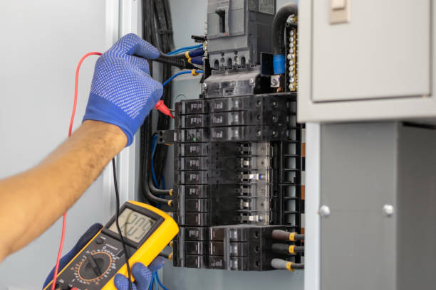 Best Electrical Panel Upgrades  in Cheval, FL